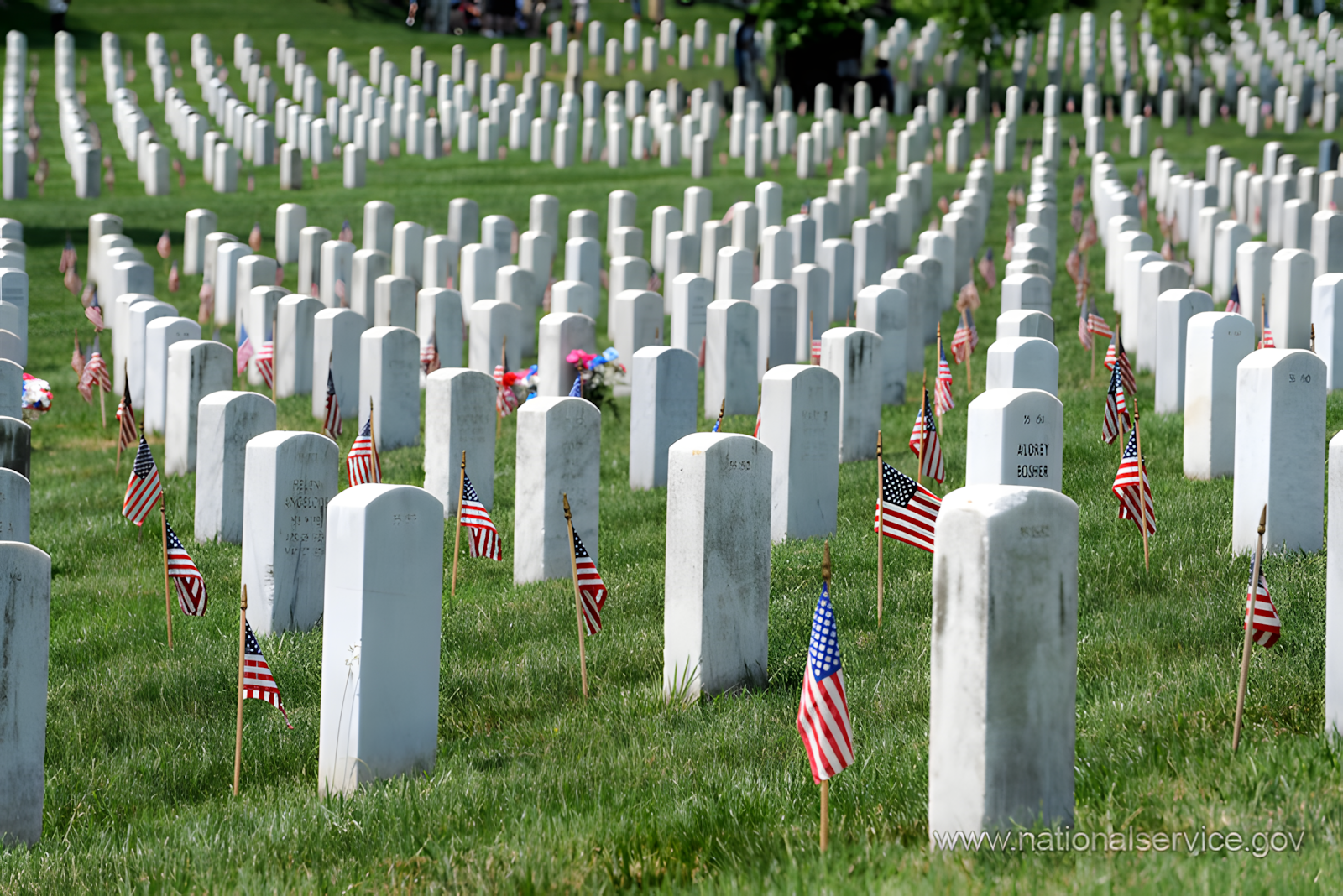 Rows of white marble headstones at Arlington National Cemetery with small American flags placed at each grave — header image for a guide to planning a military funeral
